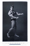 Pumping Iron 24 x 36 Movie Poster - Style D