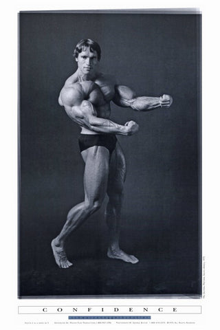 Pumping Iron 24 x 36 Movie Poster - Style D