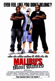 Malibu's Most Wanted 27 x 40 Movie Poster - Style A