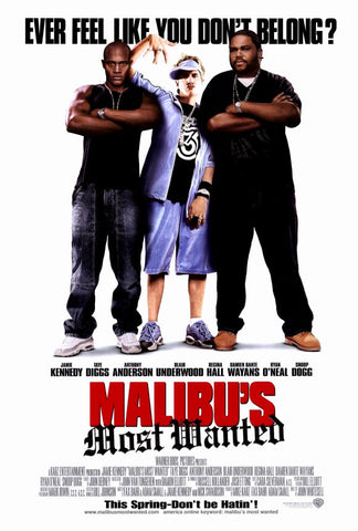 Malibu's Most Wanted 27 x 40 Movie Poster - Style A