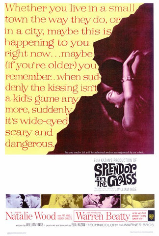 Splendor in the Grass 27 x 40 Movie Poster - Style A