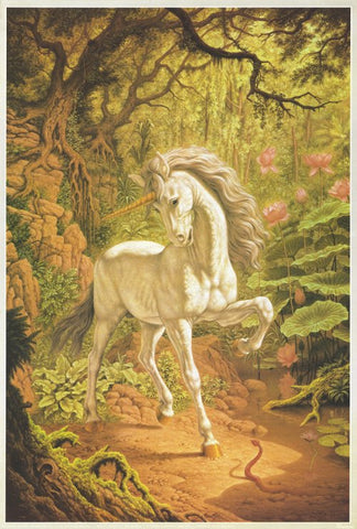 Unicorn 27 x 40 Movie Poster - Style A
