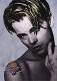 Leonardo DiCaprio 11 x 17 Movie Poster - Style C