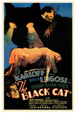 The Black Cat 27 x 40 Movie Poster - Style A