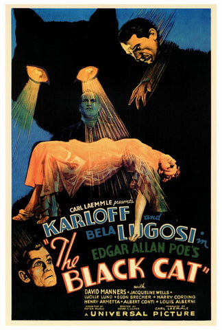 The Black Cat 27 x 40 Movie Poster - Style A