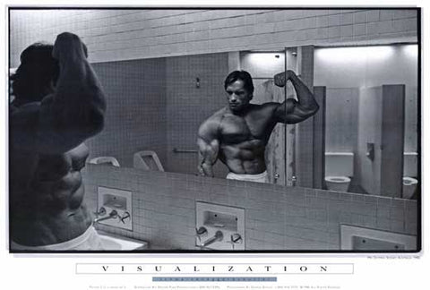 Arnold Schwarzenegger 27 x 40 Movie Poster - Style B