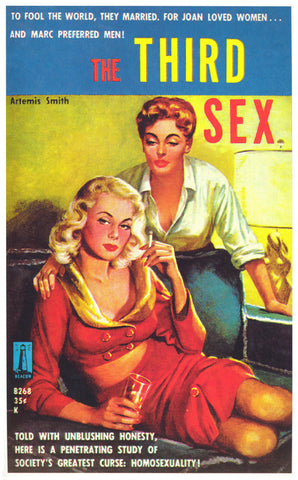 The Third Sex 11 x 17 Retro Book Cover Poster