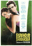 Splendor in the Grass 27 x 40 Movie Poster - Spanish Style A