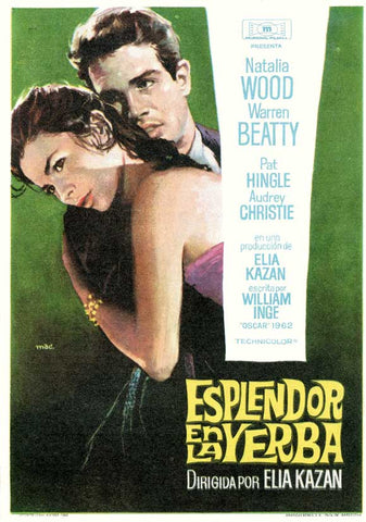 Splendor in the Grass 27 x 40 Movie Poster - Spanish Style A