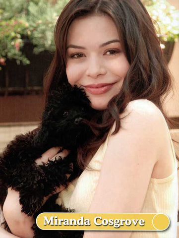iCarly (TV) 27 x 40 TV Poster - Style F