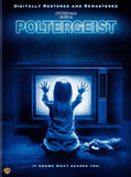 Poltergeist 27 x 40 Movie Poster - Style E