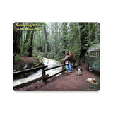 Camping USA 1949 Metal Sign Wall Decor 15 x 12