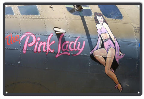 Timeless Nose Art Pink Lady Metal Sign