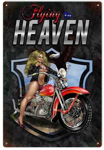 Vintage Flying To Heaven Metal Sign