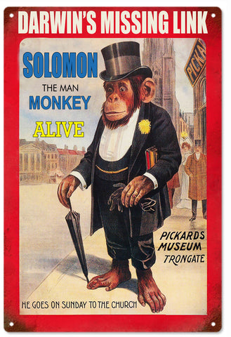 Darwins missing Link Monkey lives Darwin's missing Link Monkey lives Metal Sign