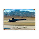 Flight of the Blackbird Metal Sign Wall Decor 24 x 16