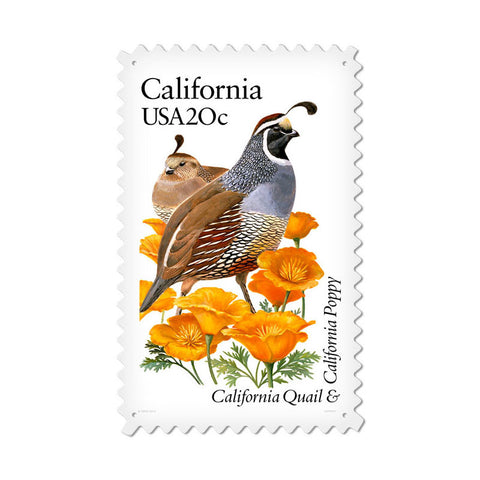 California Quail Metal Sign Wall Decor 15 x 24