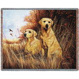 Labrador Retrievers Yellow Blanket