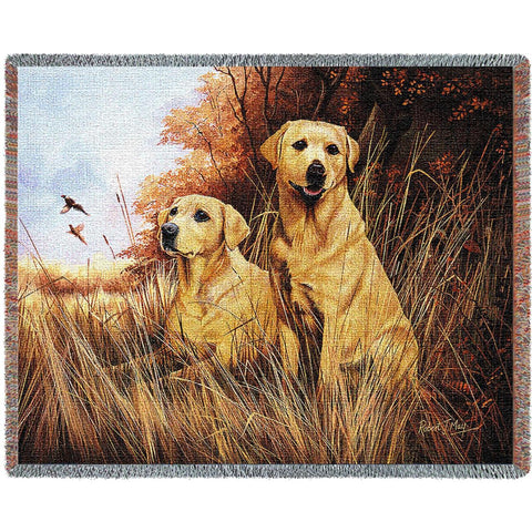 Labrador Retrievers Yellow Blanket