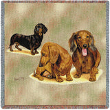 Dachshund Puppies Small Blanket