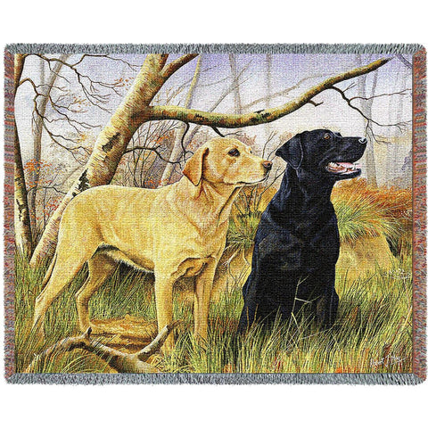 Labrador Retrievers Blanket