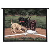 Stealing 2nd Wall Tapestry with Rod