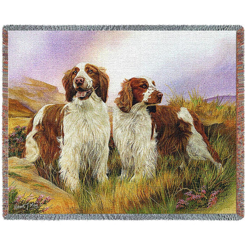 Welsh Springer Spaniel Blanket