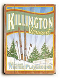 0003-1424-Skiing 2 Wood Sign 14x20 (36cm x 51cm) Planked