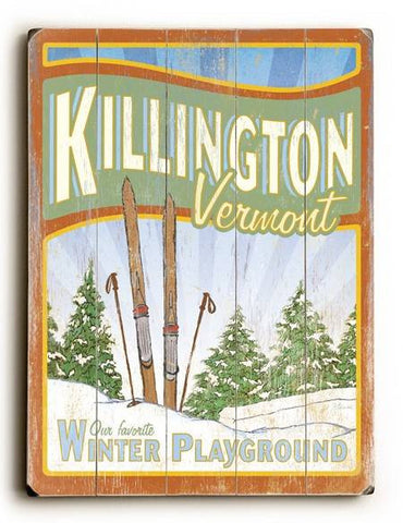 0003-1424-Skiing 2 Wood Sign 14x20 (36cm x 51cm) Planked
