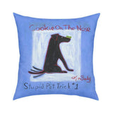Cookie on the Noise Pillow 18x18