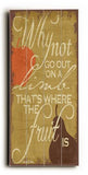 Why Not Wood Sign 10x24 (26cm x61cm) Planked