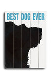 Best Dog Ever Wood Sign 12x16 Planked