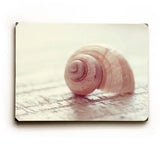 Tiny Shell Wood Sign 14x20 (36cm x 51cm) Planked