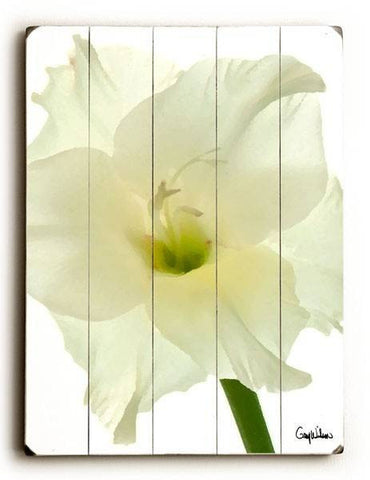 White Gladiolus Flower Wood Sign 14x20 (36cm x 51cm) Planked