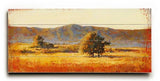 Last Days of Summer Wood Sign 10x24 (26cm x61cm) Planked