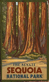 The Senate Sequoia National Park Wood Sign 7.5x12 (20cm x31cm) Solid