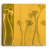 Yellow Weeds Wood Sign 30x30 (77cm x 77cm) Planked