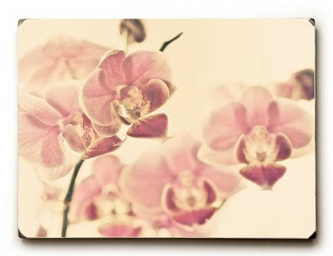 Tiger Lily Pink Wood Sign 25x34 (64cm x 87cm) Planked