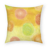 Fruit Pillow 18x18