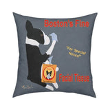 Boston's Fine Facial Tissue Pillow 18x18