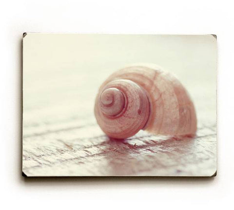 Tiny Shell Wood Sign 9x12 (23cm x 31cm) Solid