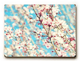 Blue and Pink floral sky Wood Sign 25x34 (64cm x 87cm) Planked