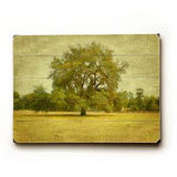 Lonely Tree Wood Sign 12x16 Planked