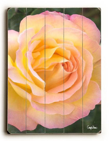 Golden Rose Wood Sign 14x20 (36cm x 51cm) Planked
