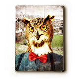 Owl Wood Sign 9x12 (23cm x 31cm) Solid
