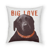 Big Love Pillow 18x18