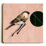 Bird on Wire Wood Sign 30x30 (77cm x 77cm) Planked