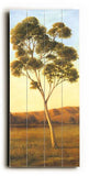 Lonely Eucalyptus I Wood Sign 12x16 Planked
