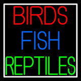 Birds Fish Reptiles Neon Sign 24" Tall x 24" Wide x 3" Deep
